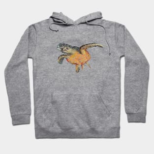 Swirly Turtle Hoodie